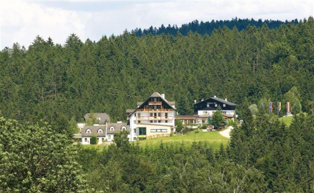 Hotel Schwarz Alm Zwettl Exterior photo